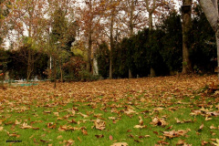 عکس : آقای جعفری