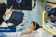 بخش اکوکاردیوگرافی